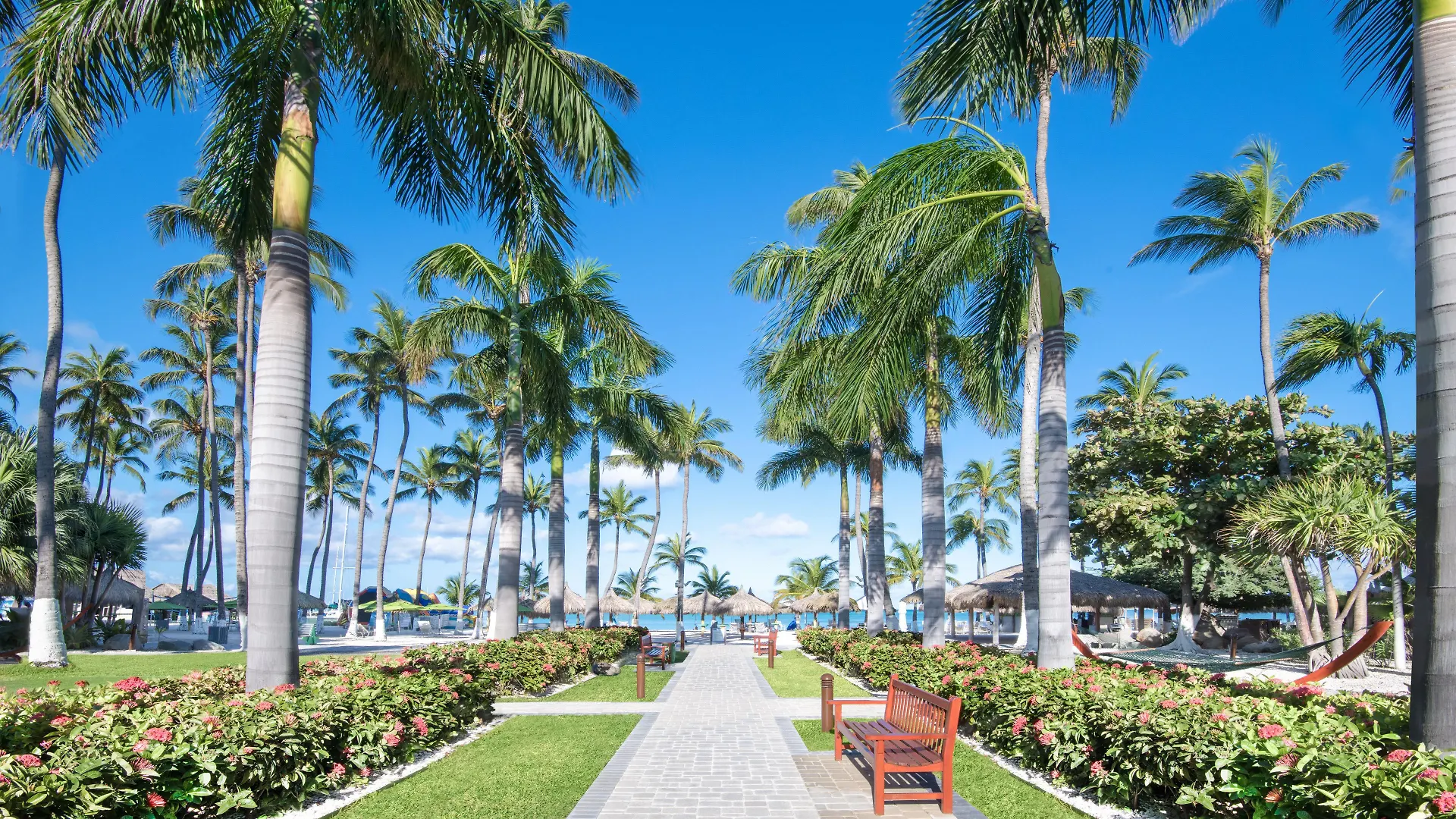 Holiday Inn Resort Aruba - Beach Resort & Casino By Ihg Palm Beach
